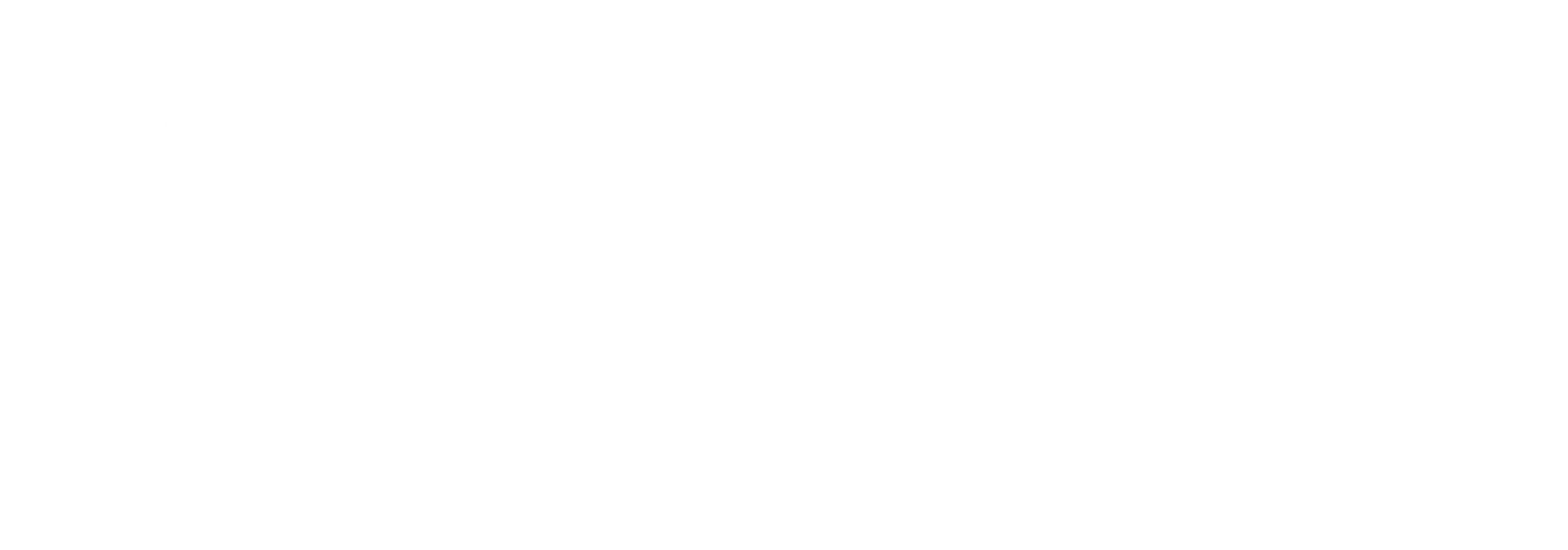 Single Stop Technologies